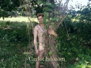 Carlot_hdozom