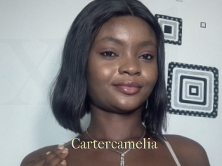 Cartercamelia
