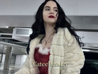 Cateellender
