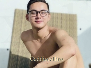 Ceddiecollins