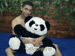 Collegegaym