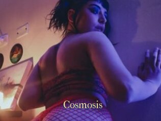 Cosmosis