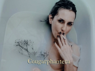 Cougarphantera