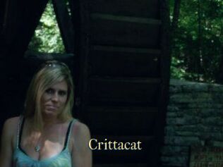 Crittacat