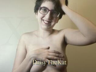DaisyTheKat