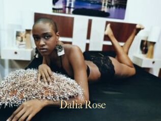 Dalia_Rose