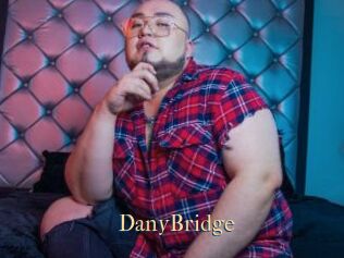DanyBridge
