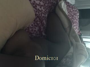 Domic101