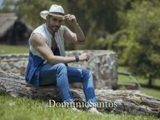 DomiinicSantos