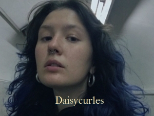 Daisycurles