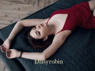Daisyrobin