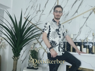 Davidkerber