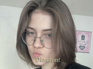 Dinamint