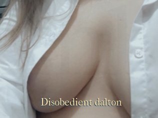 Disobedient_dalton