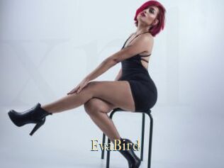 EvaBird