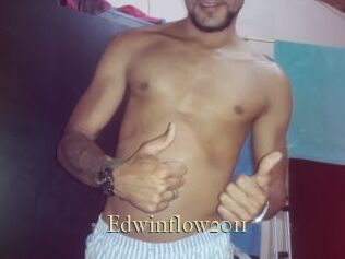 Edwinflow2011