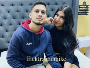 Elektraandmike