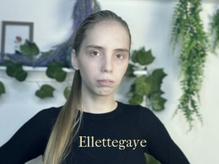 Ellettegaye