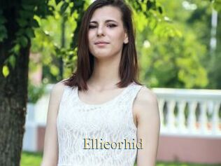 Ellieorhid