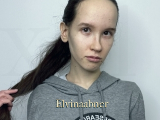 Elvinaabner
