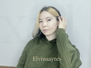 Elvinaaytes