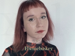 Elwinebuskey
