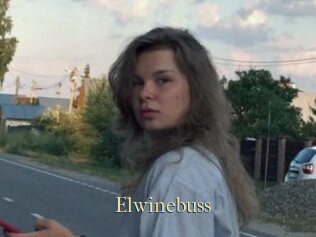 Elwinebuss