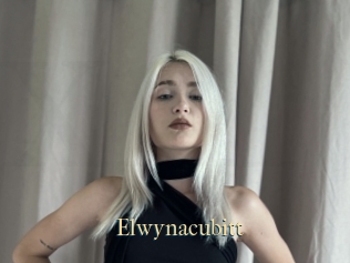 Elwynacubitt
