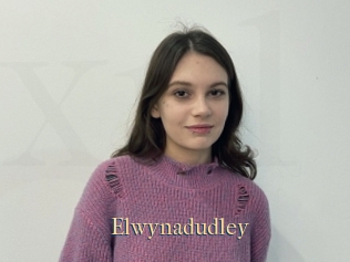 Elwynadudley