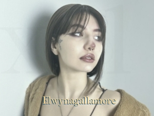 Elwynagallamore