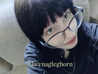Elwynagleghorn