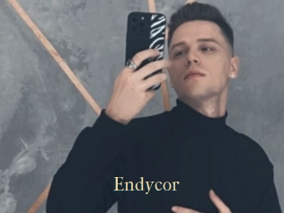 Endycor