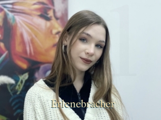 Erlenebracher