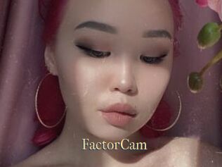 FactorCam