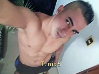 Fenix_S
