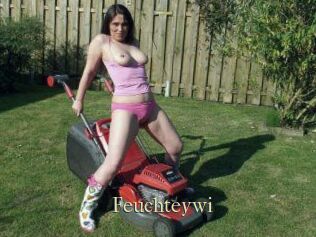 Feuchteywi