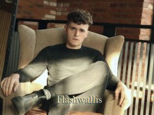 Flashwallis