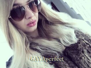 GAYAperfect