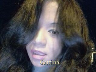Gattina