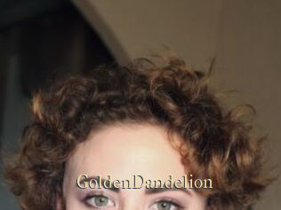 GoldenDandelion