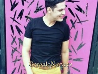 GonzaloNarvaes