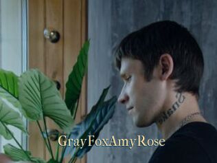 GrayFoxAmyRose