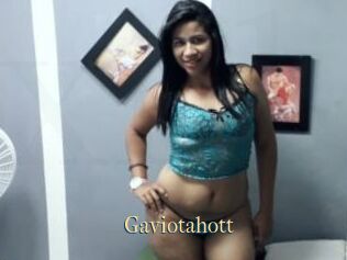 Gaviotahott