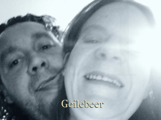 Geilebeer