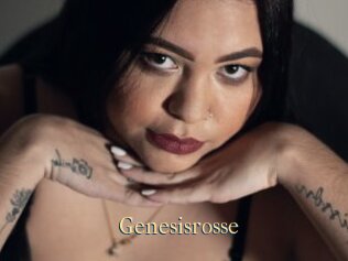 Genesisrosse