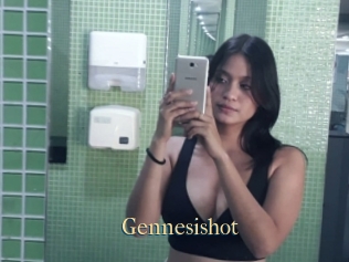 Gennesishot