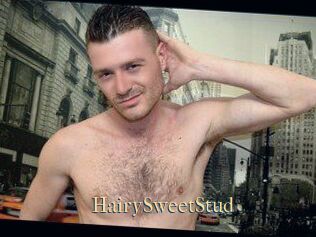 HairySweetStud