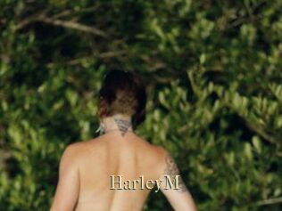 HarleyM
