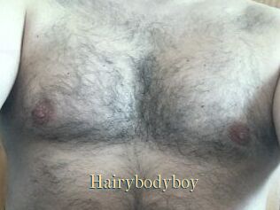 Hairybodyboy