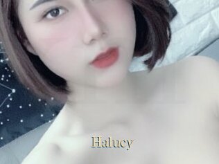 Halucy
